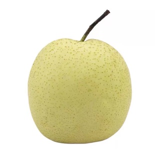 特级雪梨赵县雪花梨新鲜水果10斤河北雪梨原产地直发当季大果包邮