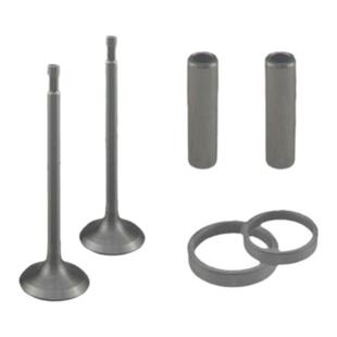 单缸水冷柴油机配件常柴常发 R165/R170A/R176 气门四配套 组合件