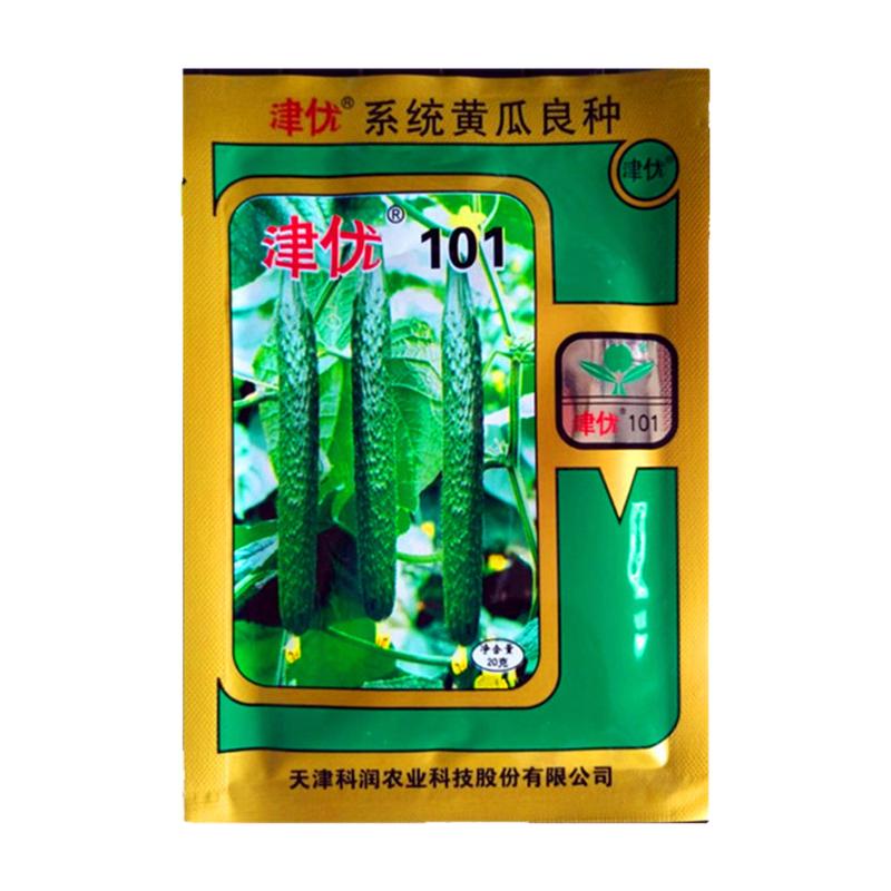 黄瓜种籽孑蔬菜种子津优101号406陆地黄瓜种子20g611旱青黄瓜种子