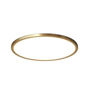 2025新款超薄全铜吸顶灯led超亮防蚊虫防潮三色遥控阳台卧室灯具