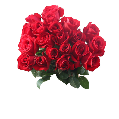 云南基地直发混搭百合花速递