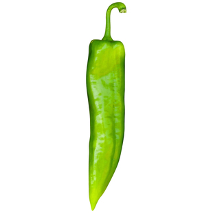 特大牛角椒种子苗秧辣椒种籽青椒籽种特辣四季香辣高产蔬菜孑秧苗