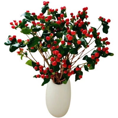 红豆相思豆鲜花花期长云南直发