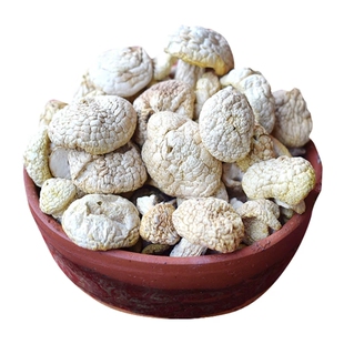 石渠白菌四川甘孜高原特产500克野生菌菇干货炖鸡山营养丰富