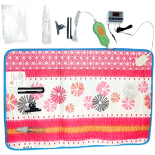 自制家用型小型孵化器机水床孵蛋器全套配件电热毯孵化箱自动控温