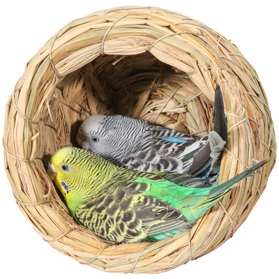 spiritpets珍珠鹦鹉繁殖鸟窝