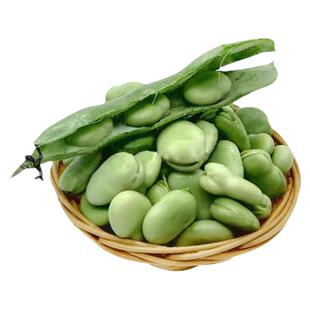 蚕豆新鲜冻蚕豆速冻苏北农家自种顺丰包邮菜农家蔬菜蚕豆米大蚕豆