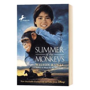 猴子的夏天 英文原版 Summer of the Monkeys 英文版儿童文学小说 进口原版英语课外阅读书籍 全英文版进口原版英语书籍