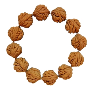 文玩龙纹桃核原皮原籽原色手串菩提子野生奶油皮大肚盘玩变色单圈