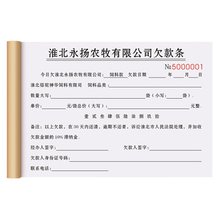 【公司专用欠款条】欠条二联定制单位财务购货赊账记账本员工工资欠账打欠条企业拖欠货款对账单货物结算清单
