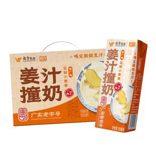 【11月产】风行牛奶姜汁撞奶岭南特色200ml*10盒云南小黄姜送礼
