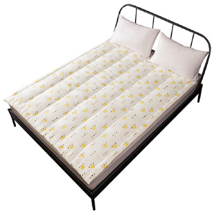 北极绒枕头一对装家用酒店护颈椎枕睡觉软枕单人枕芯学生宿舍北京