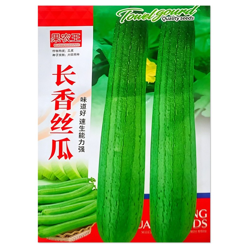 长香丝瓜种子皮薄高产
