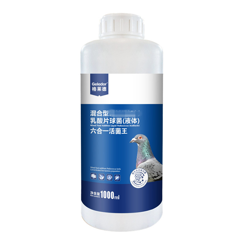 格莱德活菌王肠道沙门氏水便赛鸽