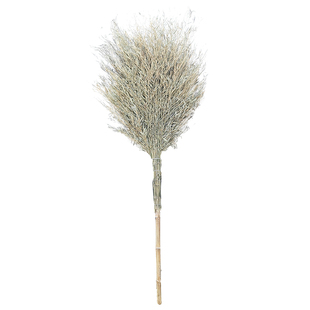 大竹扫把单个家用学校工厂车间扫院子扫马路扫地笤帚环卫扫把室外