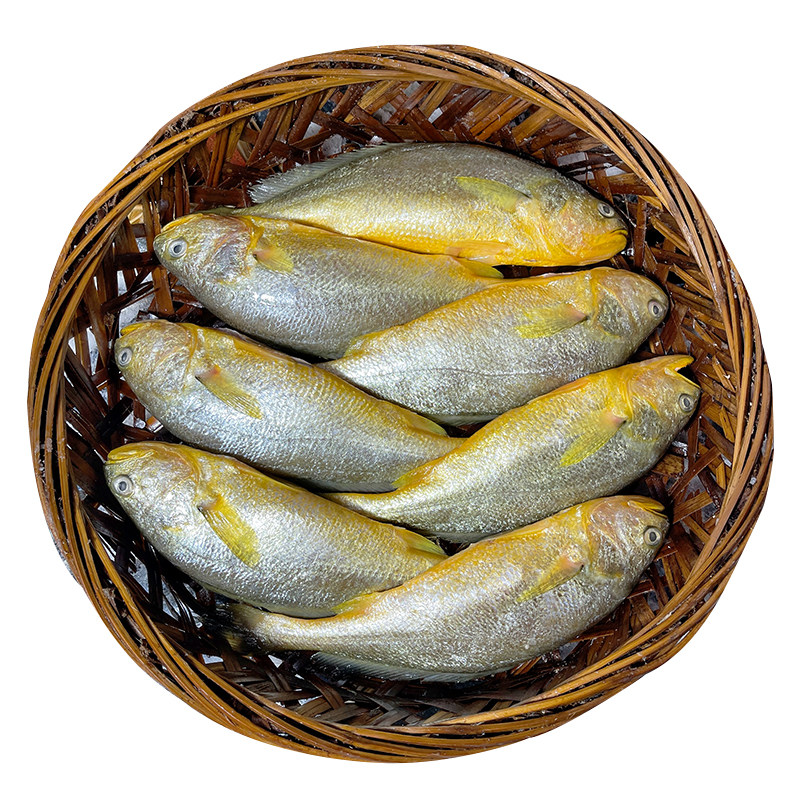 潮汕特产汕头打冷鱼饭即食黄花鱼