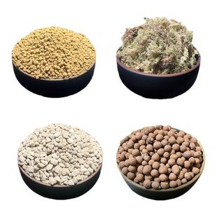 苔藓景观材料微景观diy材料包创意生态瓶制作材料水陆缸造景材料