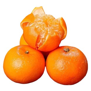 云南沃柑新鲜水果整箱大果桔子柑橘批发年货节生鲜采摘果子果园