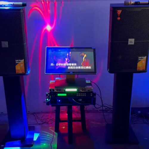 JBL KES6120MK II   12寸专业KTV家庭K议价