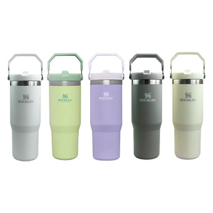 STANLEY拎拎杯折叠吸管杯水杯保冷高颜值男女不锈钢保温杯子887ml