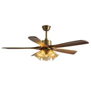 全铜实木高端大气客厅2025新款大风力风扇灯中古风高级感电扇吊灯