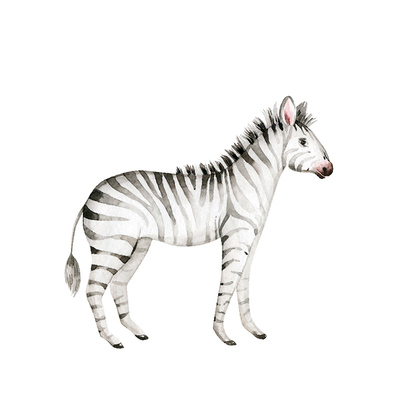 卡通大象犀牛非洲动物墙贴画