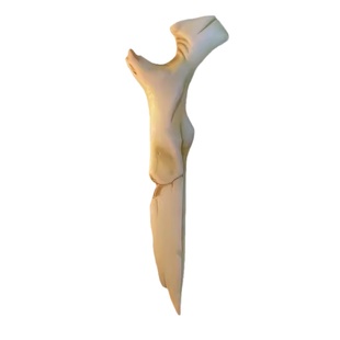 骨刀航海狼人杀手办海上狼人杀模型Dread Hunger周边恐惧饥饿荒饿