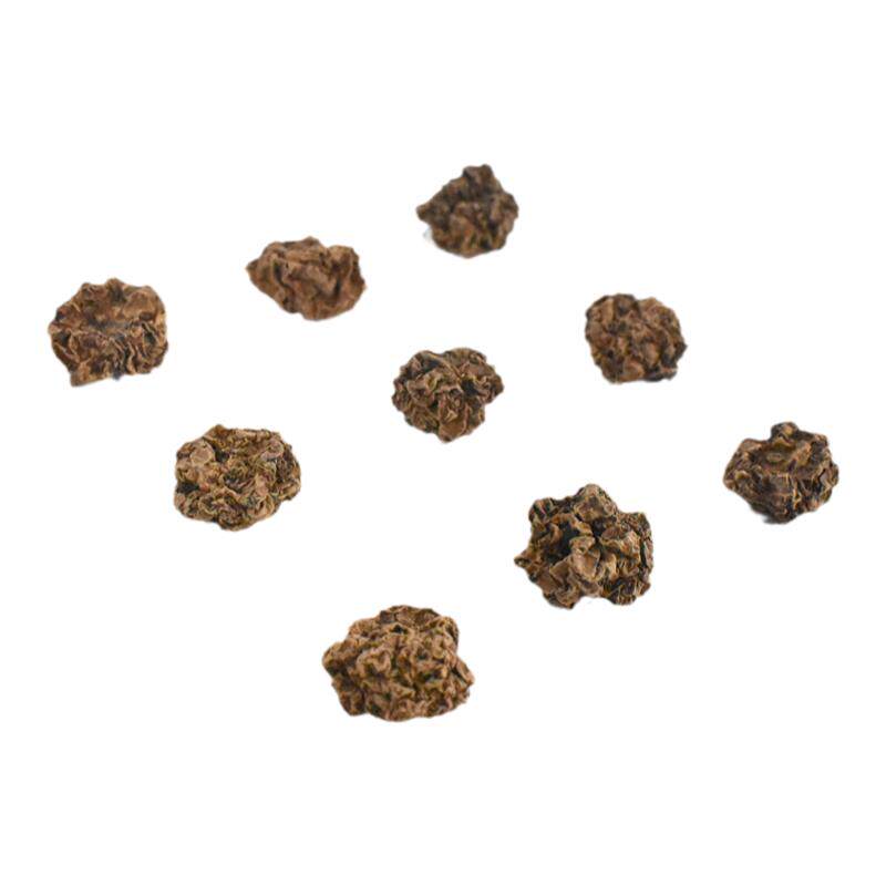 MAJACAT猫咪虫瘿果磨牙洁齿