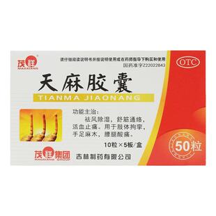 手脚麻木专用药压迫神经所致的手麻手胀手指麻木舒筋活血天麻胶囊