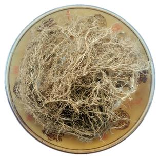 精选贵州白龙须中药材 八角枫须根瓜木须白荆条泡酒外用严禁内服