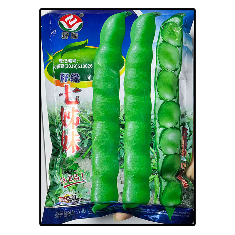 七姐妹白蚕胡豆蔬菜种子高产秋冬