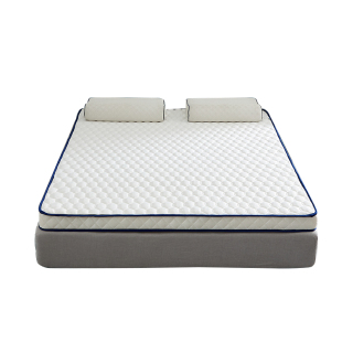 四季宿舍床垫租房专用软垫学生单人家用垫子褥子加厚卧室护脊折叠