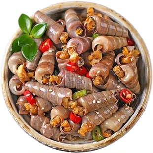 调味捞汁香辣海钉螺海螺丝海鲜熟食袋装500g加热开袋即食冷冻食品