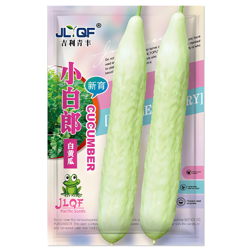 小白郎白皮黄瓜种子蔬菜种子