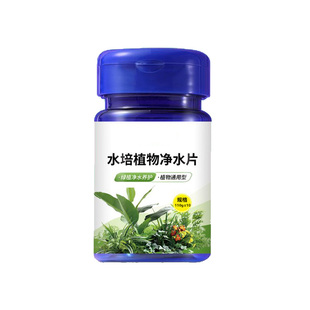 水培植物净水片除臭消毒富贵竹碗睡莲专用净化水质鲜花保鲜片