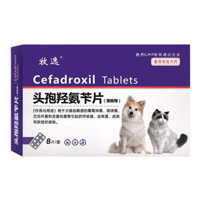 宠物头孢兽药感冒发烧抗菌消炎