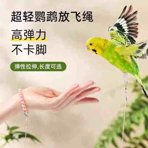 鹦鹉牵引绳外出放飞虎皮玄凤专用脚环遛鸟飞行绳超轻不伤脚脚链子