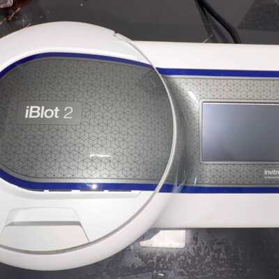 Thermo Fisher Invitrogen iBlot