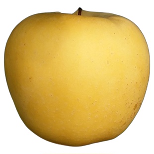 每天水果优选 甘肃天水黄元帅苹果 口感偏面金冠苹果当季新鲜整箱