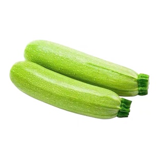 三季丰西葫芦种子四季种苗露天大棚种籽瓜蔬菜种孑春夏秋冬季青菜