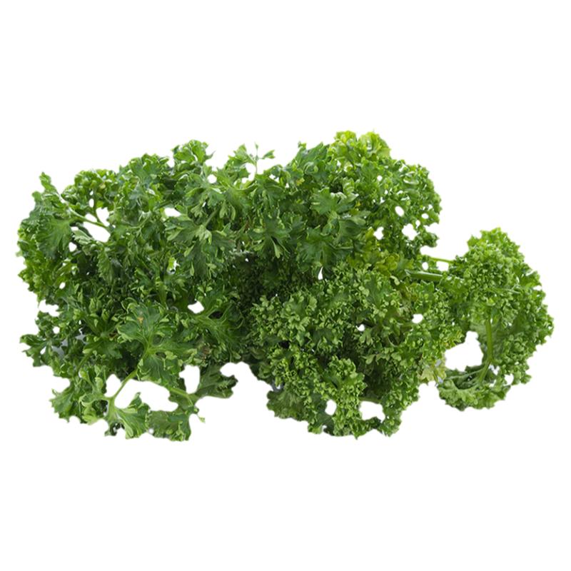 新鲜番西500g法国香芹荷兰芹欧芹