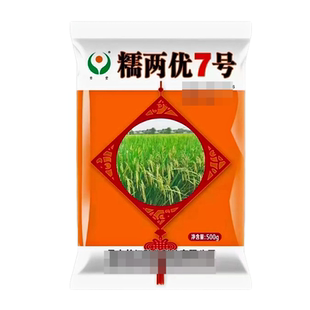 长粒型糯谷水稻种子晚稻糯两优7号国标三级米产量高耐热性强1斤装