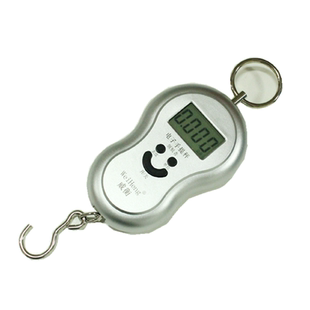 包邮威衡中文手提称弹簧秤吊钩秤45KG/10G便携挂秤电子秤葫芦秤