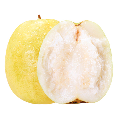 官方推荐！软糯奶油白心芭乐