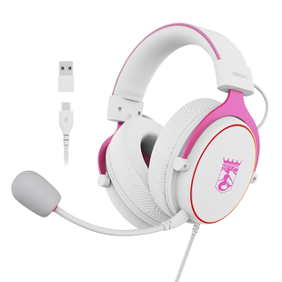 宾果利维坦头戴式耳机Type-C接口平板电脑脚步声吃鸡游戏电竞耳机