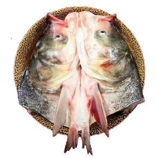 查干湖有机鱼头1000g1只标切天然特级胖头花鲢鱼头顺丰包邮