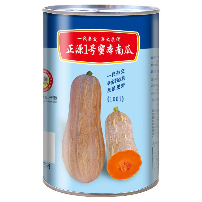蔬菜种子高产四季蜜本南瓜