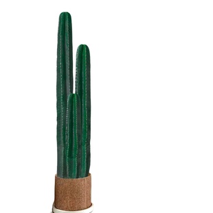 量天尺仙人柱绿植盆栽仙人掌大型植物室内客厅落地多肉禄植好养活