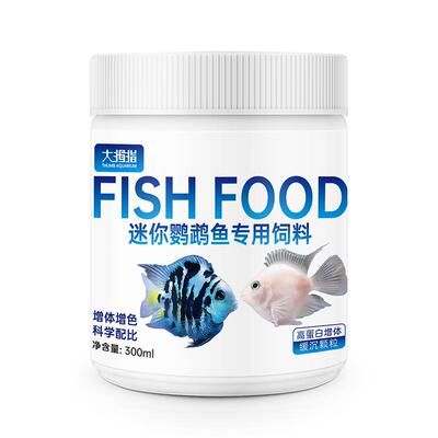 大拇指迷你鹦鹉鱼饲料迷你鹦鹉鱼