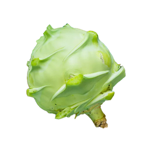 东川苤兰种子紫苤蓝种籽高产菜籽蔬菜孑籽种芥兰头芥蓝球茎阳台蔬